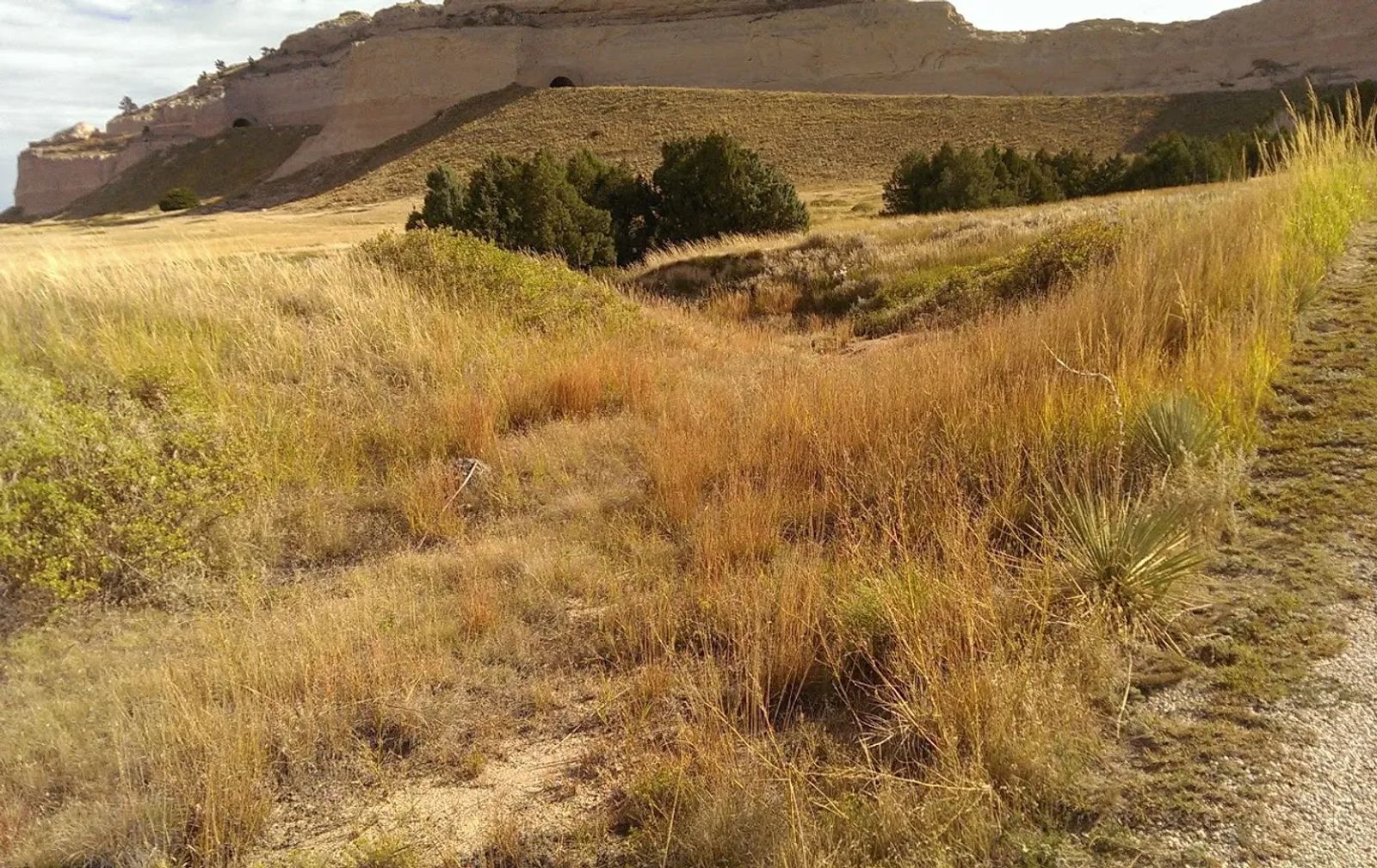 Photo of The top of Mitchell Pass, where the wagon ruts merge, near Scottsbluff, Nebraska