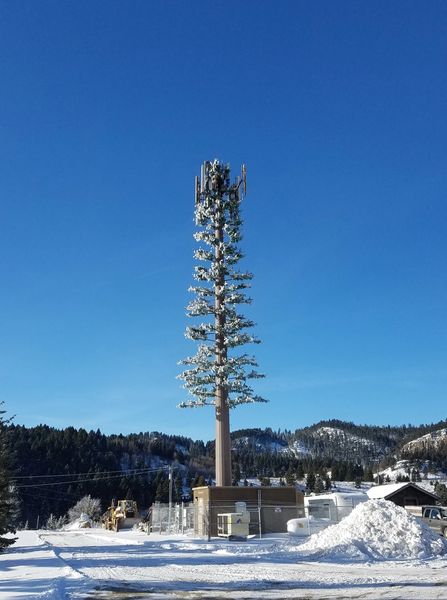 Photo of A cell tower shaped like a tree near Ennis, Montana