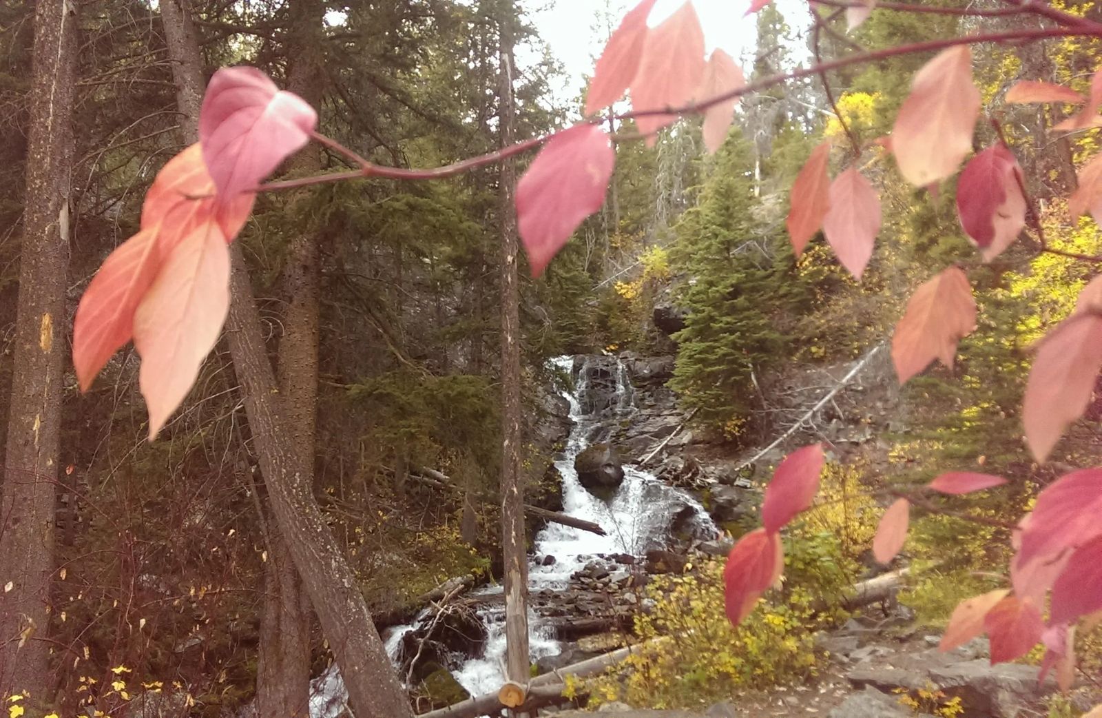 Photo of a creek in Montana