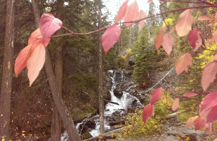 Photo of a creek in Montana