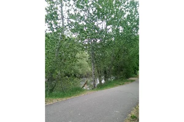 Photo of the Green Belt in Boise, Idaho