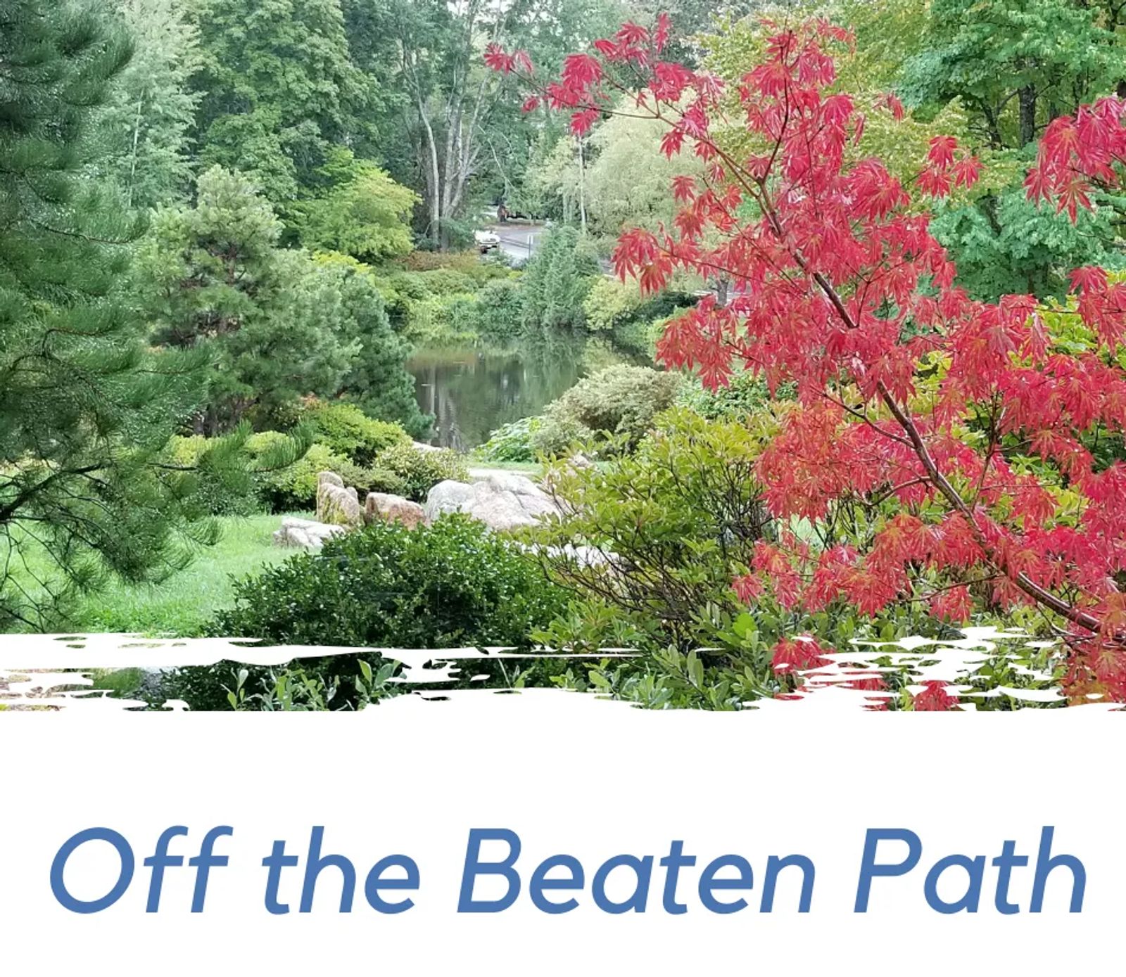 Photo of Asticou Azalea Garden in Northeast Harbor, ME