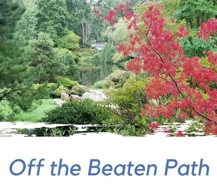 Photo of Asticou Azalea Garden in Northeast Harbor, ME