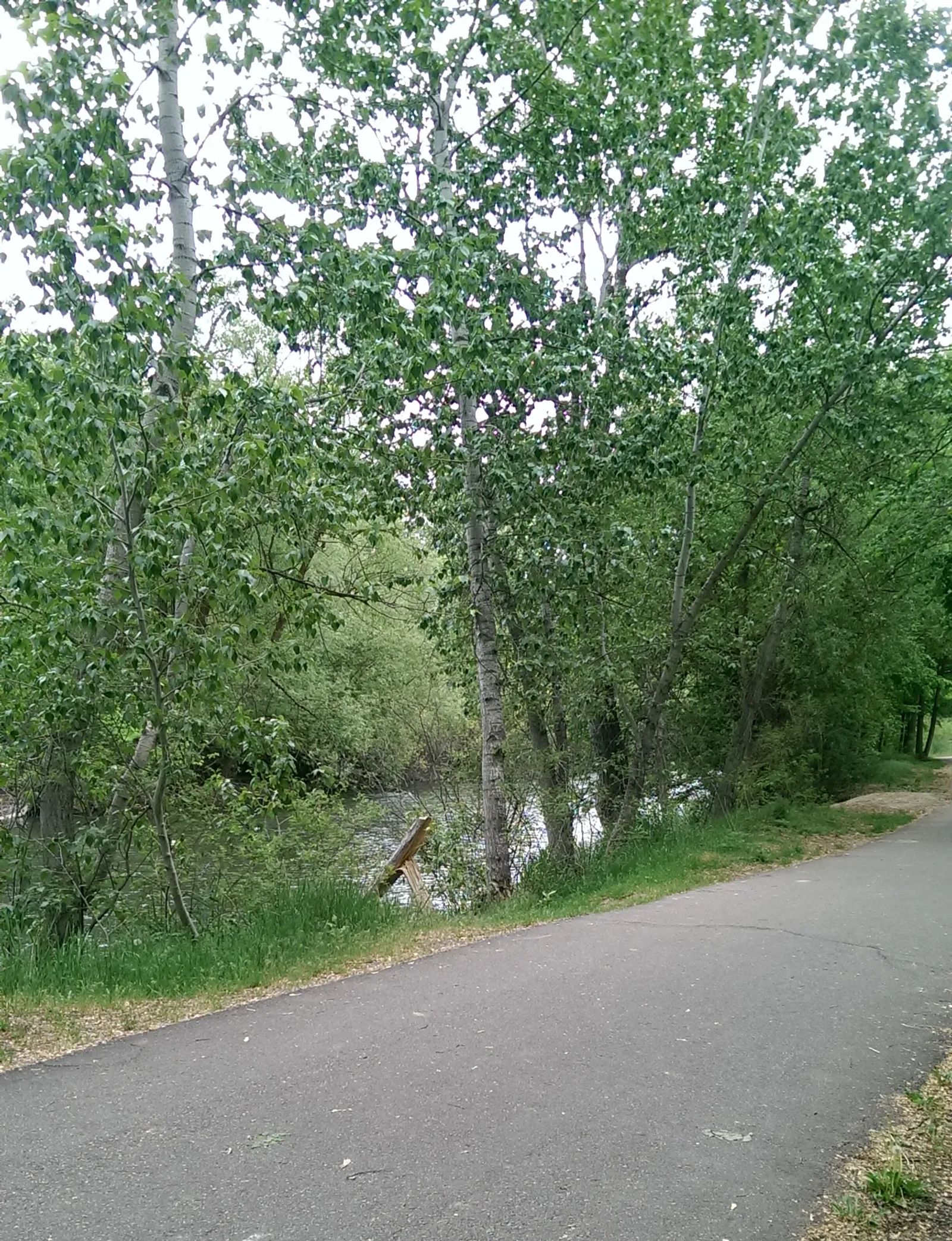 Photo of the Green Belt in Boise, Idaho