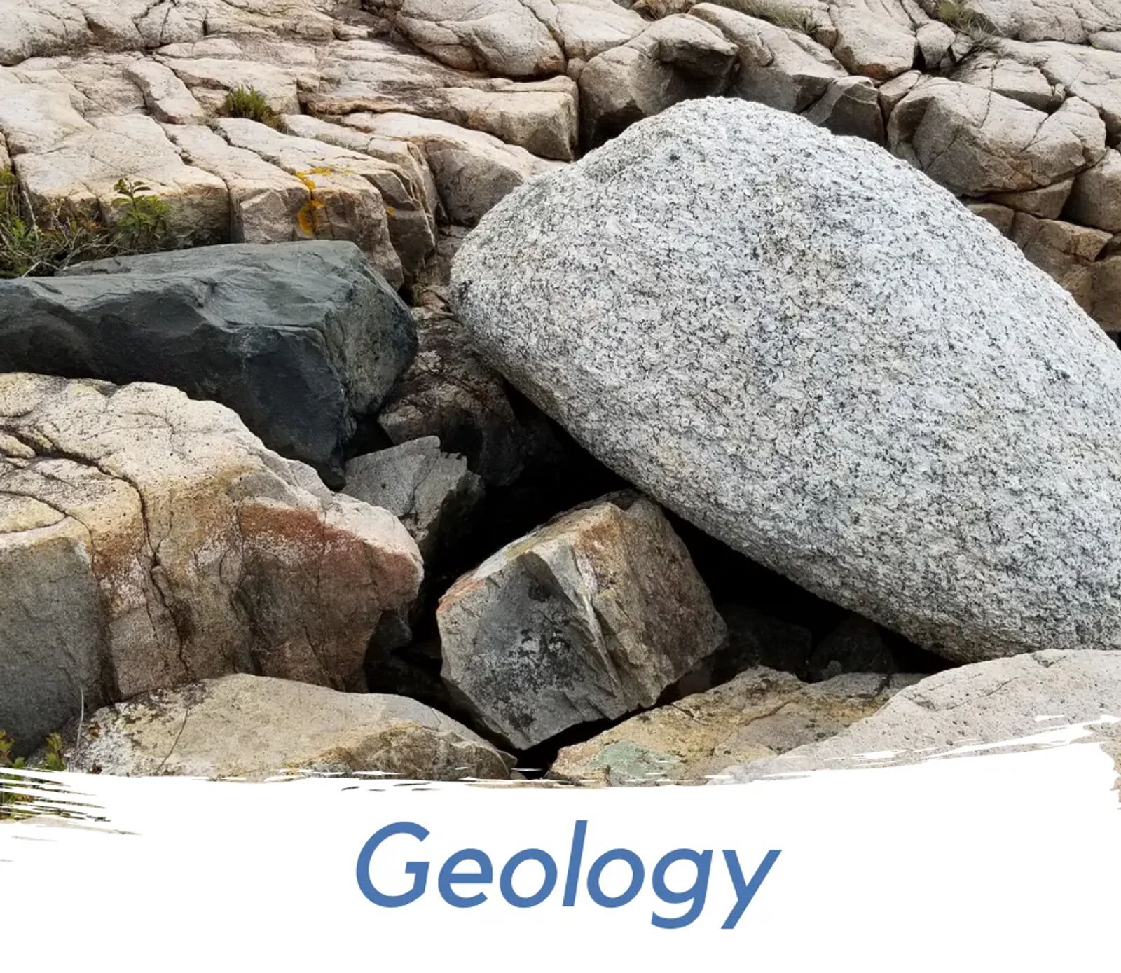 Photo of a glacial erratic surrounded by schoodic granite