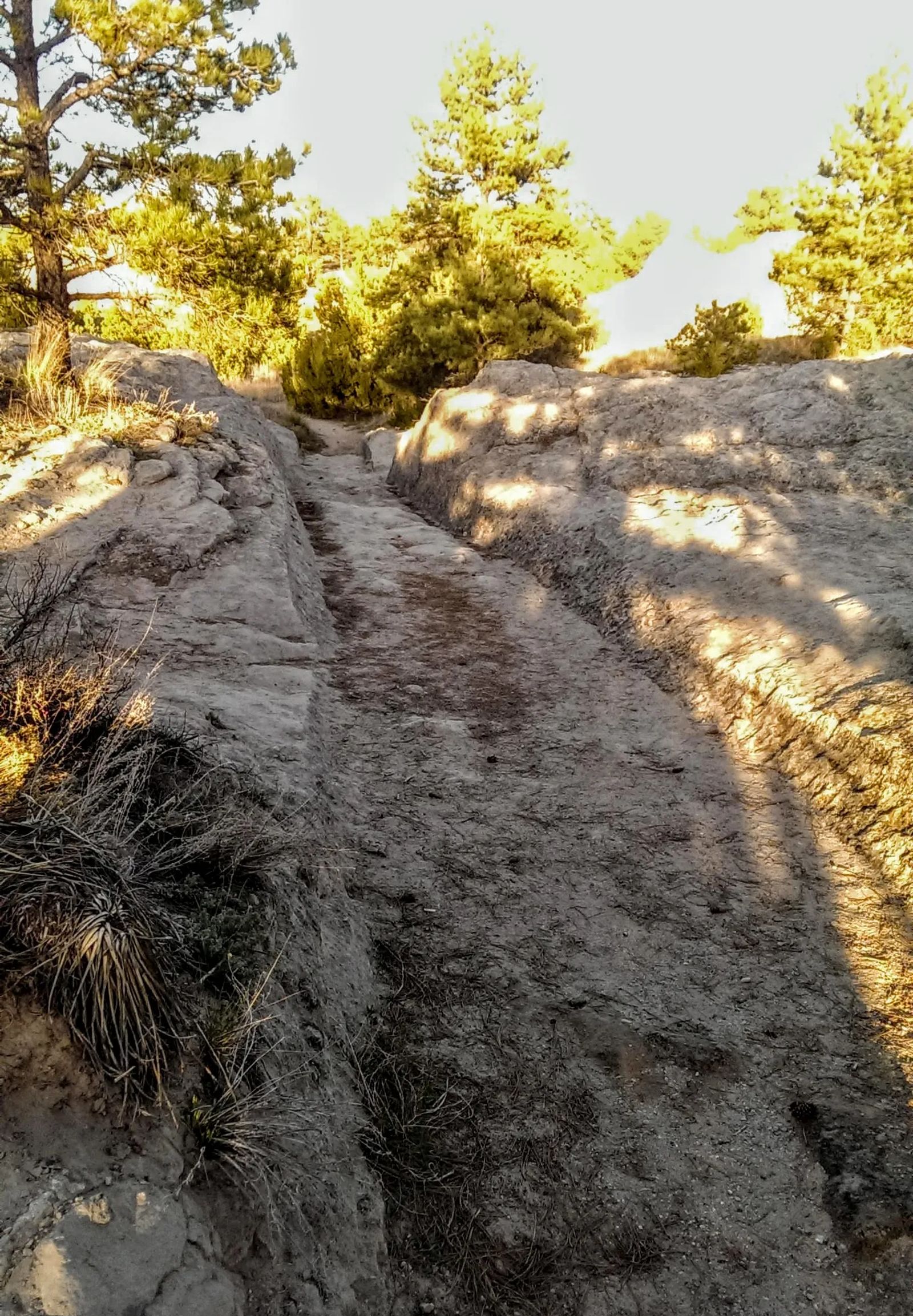 Photo of the Geurnsey Ruts, Oregon Trail wagon ruts, in Geurnsey, Wyoming