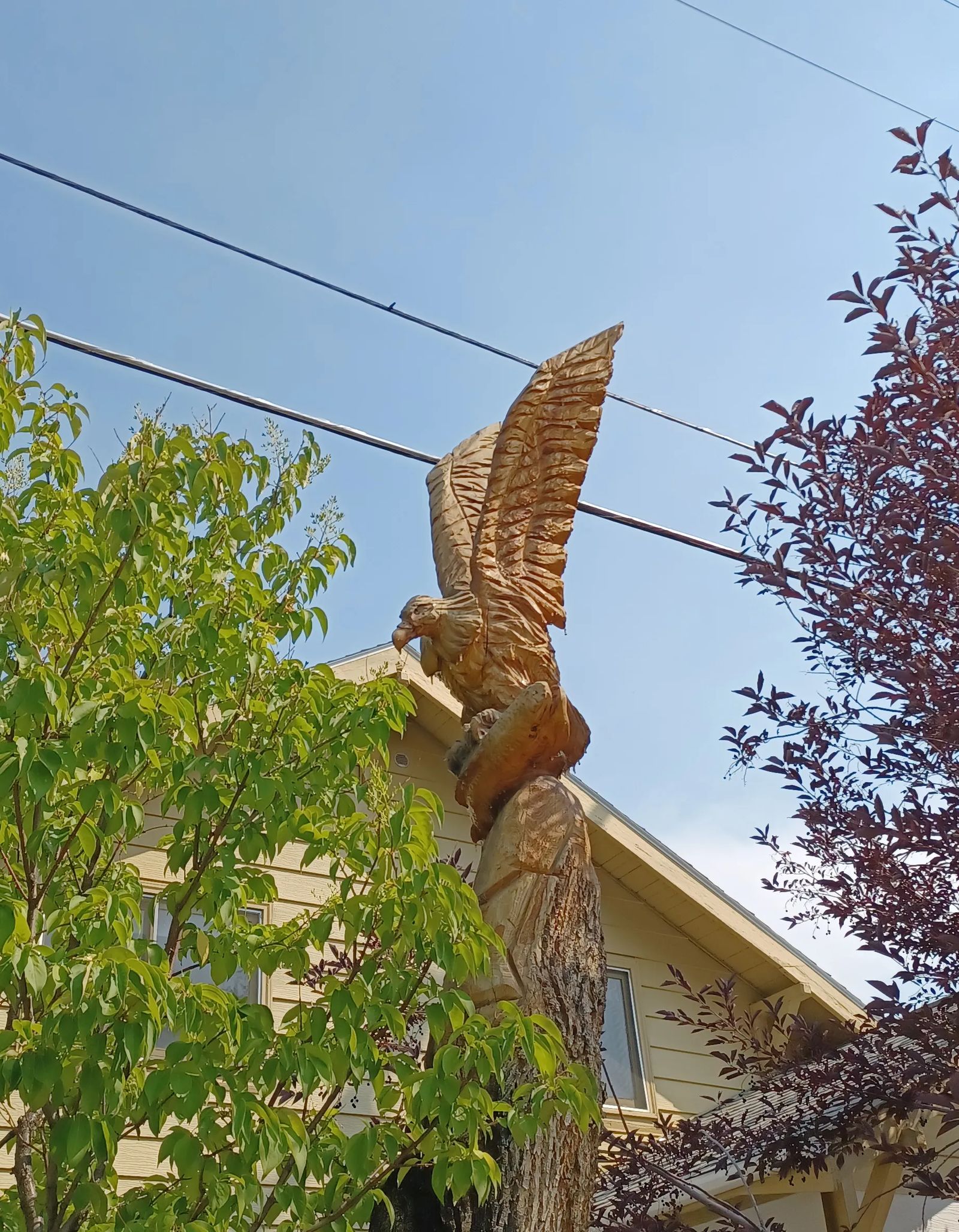 Photo of an eagle with fish, carved into a tree in Anaconda, Montana