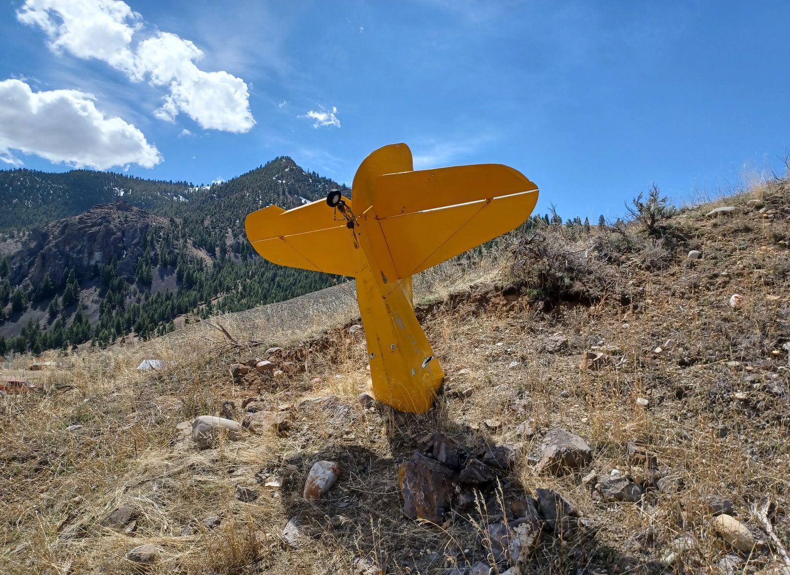 Photo of a plane tail emerging from the ground, near Clayton, Idaho