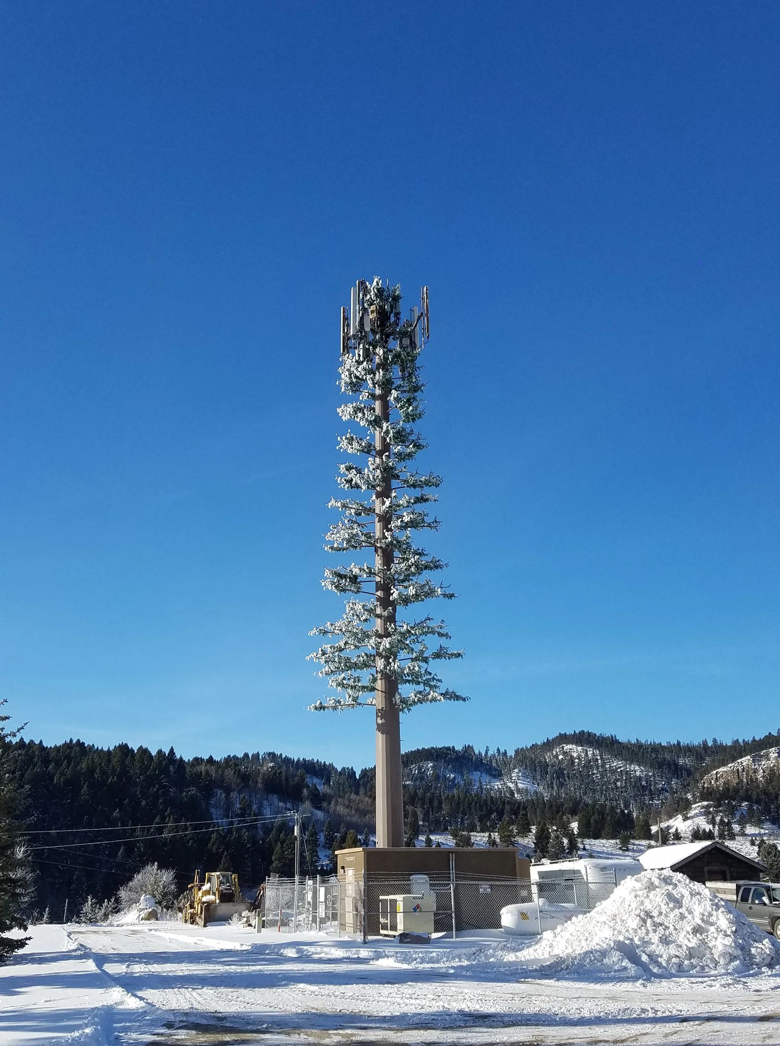 Photo of A cell tower shaped like a tree near Ennis, Montana