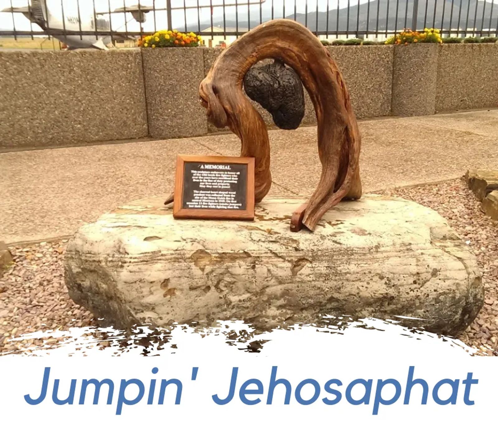 Photo of heartwood in Missoula, Montana