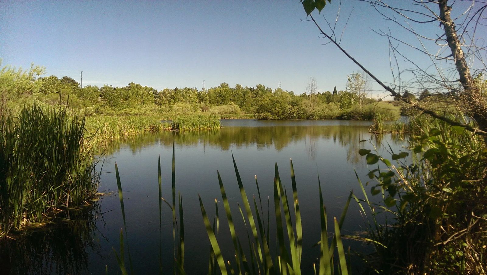 Photo of the Hyatt Hidden Lakes Reserve in Boise, Idaho