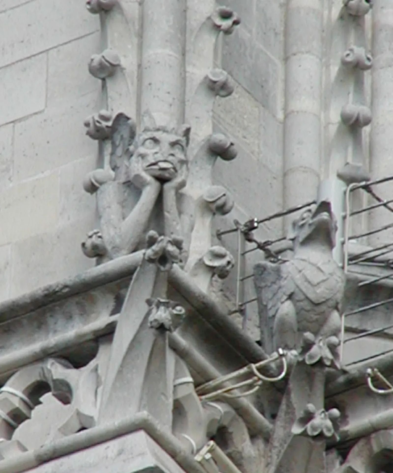 Photo of The "Stryga" on Notre Dame Cathedral, In Paris, France